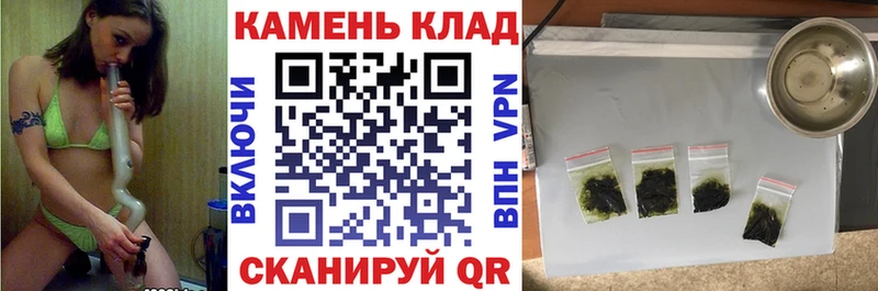 Купить где Кинель Гашиш индика сатива