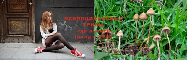 прущая мука Баксан