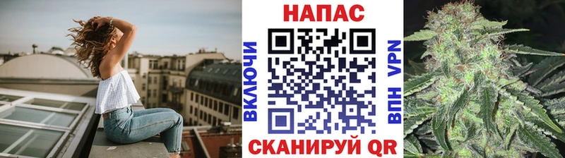 Купить  Кинель  Канабис планчик 